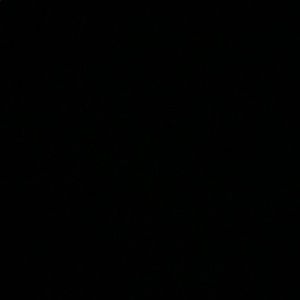 Meet your Posher, Ellie